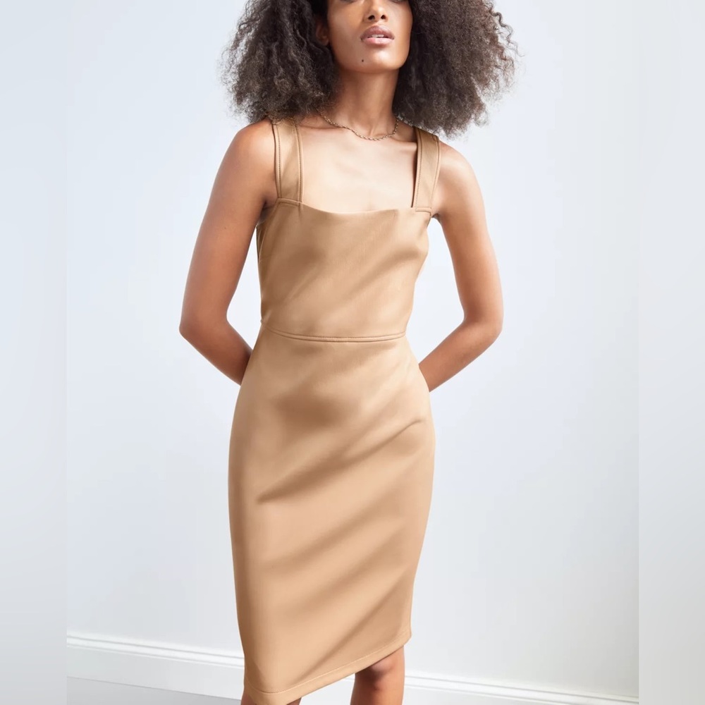 Aritzia Babaton Vegan Leather Image Dress